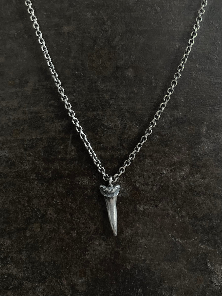 Shark Tooth Pendant